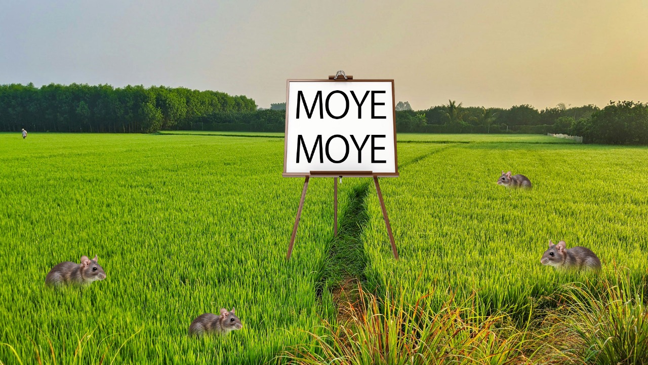 Chuti Resort Cox's Bazar